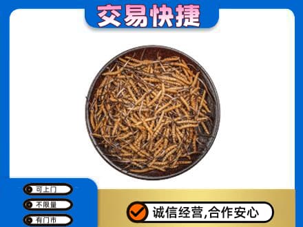 许昌回收散虫草